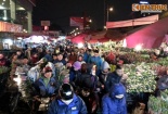 Hà Nội: Chợ hoa Quảng An động tới mức 'nghẹt thở'