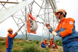 Cty CP Sông Đà 11 khép lại một năm đột phá về năng suất chất lượng