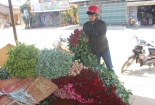 Sát Valentine, hồng Đà Lạt đội giá cao gấp 5 lần vẫn 'cháy hàng'