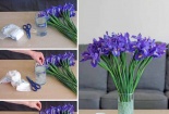 Bất ngờ với những công dụng khác của tã giấy