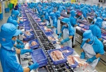Tiền Giang: 60% DN chủ lực được tuyên truyền nhận thức về năng suất chất lượng