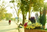 Dự báo thời tiết: Mưa miền Bắc sẽ chấm dứt vào cuối tuần này