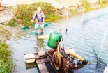 Khánh Hòa: Áp dụng khoa học kỹ thuật vào sản xuất, kết quả bất ngờ