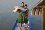 Đường cát nhập lậu liên tục được 'tuồn' qua biên giới 