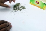 Lipton khổ sở thanh minh vụ ‘bọ’ bò lổm ngổm trong túi trà lọc