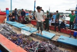 Hơn 10 người trên tàu Hải cảnh TQ tràn sang tàu cá ngư dân Việt để cướp bóc