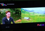 VTV gửi công văn nhận vi phạm bản quyền nhưng chưa xin lỗi