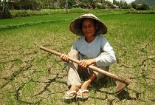 Xâm nhập mặn và hạn hán ở Việt Nam: Ngồi ở Bến Tre cũng có thể tắm biển