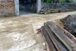 Nghi vấn chồng đâm chết vợ cũ do ghen tuông dù đã ly dị 2 năm