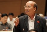 Đại biểu Đương: “Đằng sau các dự án lớn là bóng dáng quan lớn”