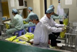 Tăng trưởng của nền kinh tế quý I có dấu hiệu chững lại