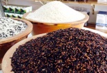 Mê trận gạo lạ