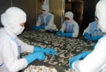 Doanh nghiệp Bà Rịa- Vũng Tàu: Tăng năng suất nhờ đổi mới KHCN
