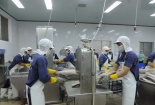 TP.HCM có 300 doanh nghiệp khoa học công nghệ vào năm 2020 