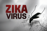 Nguy cơ dịch virus Zika xâm nhập vào Hà Nội rất lớn