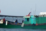 Sau giàn khoan Hải Dương 981, 6 tàu cá Trung Quốc xâm phạm Biển Đông Việt Nam