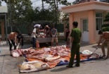 Bắt hơn 1 tấn thịt heo hôi thối, không có dấu kiểm dịch đang trên đường tới chợ