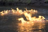 Con sông ô nhiễm bốc cháy ngùn ngụt khi bị châm lửa đốt
