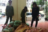 Mua lợn chết bốc mùi hôi thối về bán cho các công ty, trường học