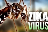 Bà bầu nhiễm virus Zika đầu tiên ở TP HCM đã hủy thai kỳ
