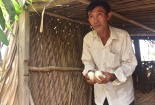 Viện KSND Tối cao kết luận vụ chủ đất quán cà phê Xin Chào bị khởi tố vì dựng chòi vịt