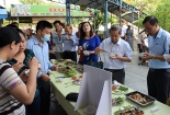 Lãnh đạo tỉnh Thừa Thiên Huế cùng ăn cá biển với dân