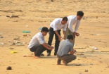 Chuyên gia của Đức, Mỹ, Israel sẽ tham gia tìm nguyên nhân hải sản chết bất thường
