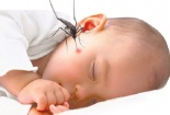 Bí kíp chữa côn trùng cắn trong nháy mắt