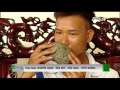 Vật lạ trong dạ dày lợn ở Hà Nội có phải 'cát lợn' giá hàng chục tỷ?