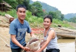 Nghệ An: Ngư dân câu được ‘thủy quái' nặng 25kg, dài gần 1m
