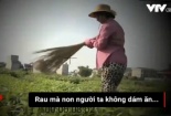  Người dùng chổi quét rau kể chuyện bị phóng viên ‘xúi’ dàn cảnh