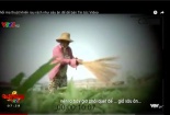 Xử phạt VTV 50 triệu đồng về phóng sự 'Cây chổi quét rau'