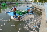 Cá chết trên kênh Nhiêu Lộc: Lời kể mỏi mệt của công nhân trắng đêm dọn xác cá