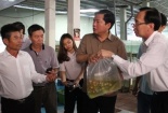 Bí thư Thăng điện khẩn Bộ trưởng Phát vì kiến nghị từ 2005 chưa được giải quyết