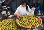 Thị trường Hà Nội: Tràn ngập mận, đào Trung Quốc giả hàng Sapa