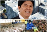 Tập đoàn Hòa Phát theo chân bầu Đức đi 'nuôi lợn'