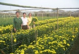Quảng Ninh tăng cường nông nghiệp công nghệ cao bằng 2 dự án 630 tỉ