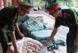 Thịt gà không rõ nguồn gốc 'hoạt động mạnh' ở các tỉnh biên giới