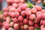 Làm sao để chọn được trái vải tươi ngon, không bị sâu đầu?