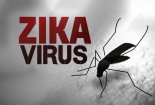 Mỹ công bố thử nghiệm thành công vắcxin phòng chống virus Zika trên động vật