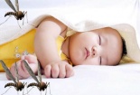 Tổng hợp các cách đuổi muỗi tránh xa căn nhà của bạn đơn giản, hiệu quả