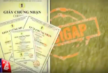 Ngang nhiên mua bán chứng nhận VietGAP trái phép