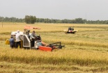 Vĩnh Long khuyến khích khởi nghiệp, đổi mới công nghệ