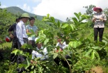 Yên Bái: Hoạt động khoa học và công nghệ góp phần thúc đẩy phát triển kinh tế-xã hội