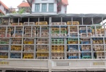 Quảng Ninh: Tụ điểm tập trung gà nhập lậu từ Trung Quốc