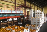 Các hoạt động sau giao hàng trong tiêu chuẩn quốc tế ISO 9001:2015