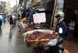 Trái cây giá rẻ tràn ngập Sài Gòn, nhưng vẫn ế hàng