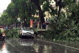 Hà Nội: Một người chết, 5 người bị thương do mưa bão số 1