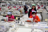 Hòa Bình: Nâng cao năng suất chất lượng còn nhiều khó khăn