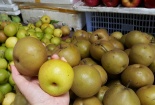 Táo, lê vắng khách: ‘Không ăn vì hàng Tàu’!